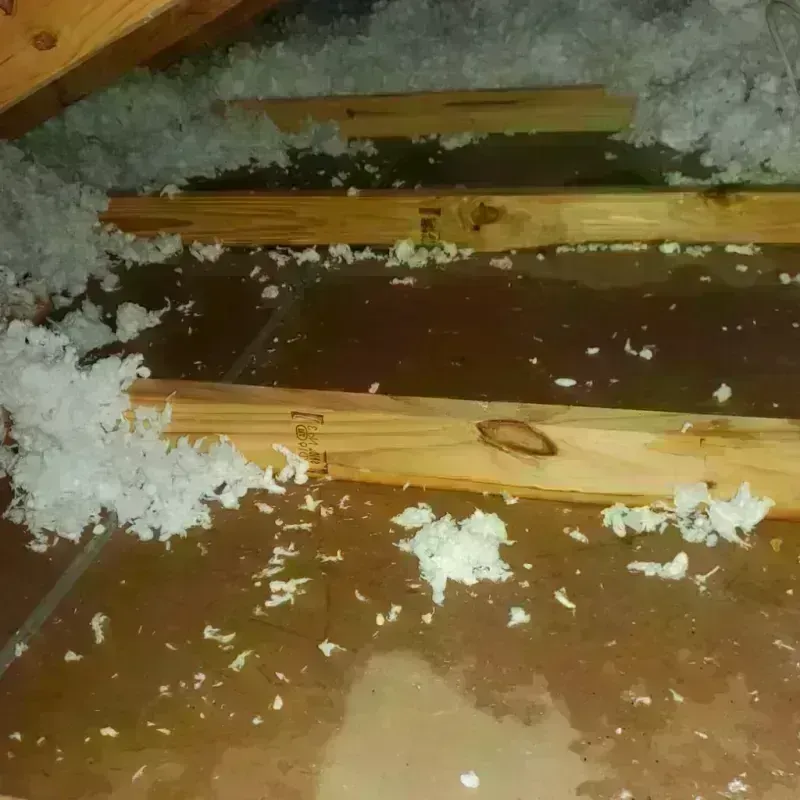 Attic Water Damage in Prospect, PA